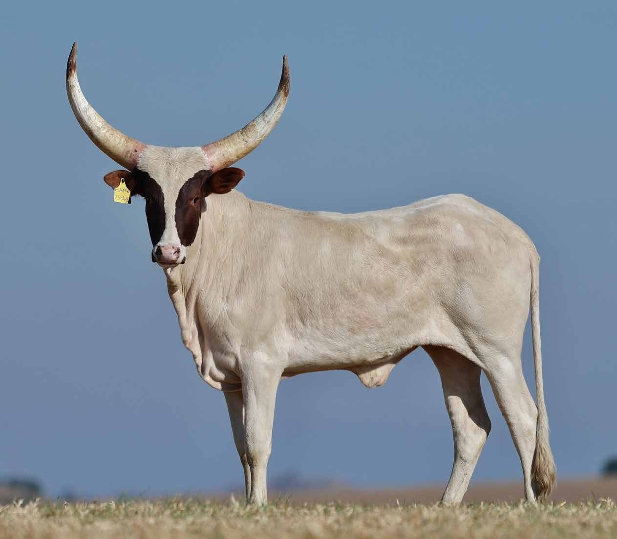 Fundi NANK23-042