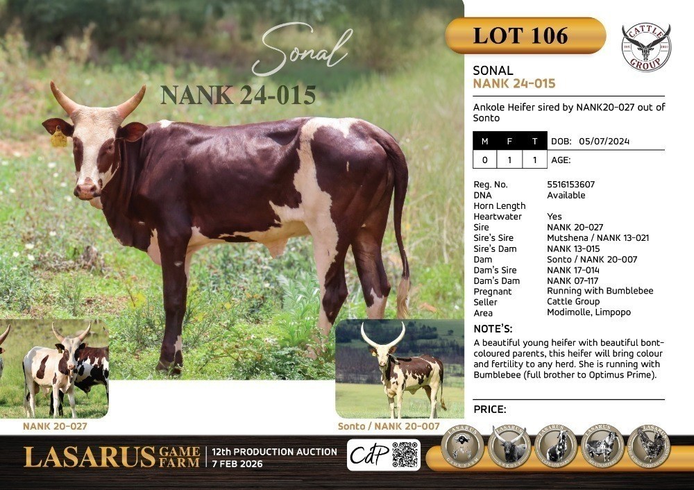 Sonal NANK24-015