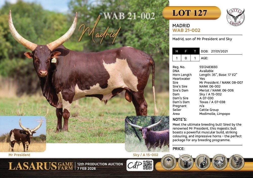 Madrid WAB21-002