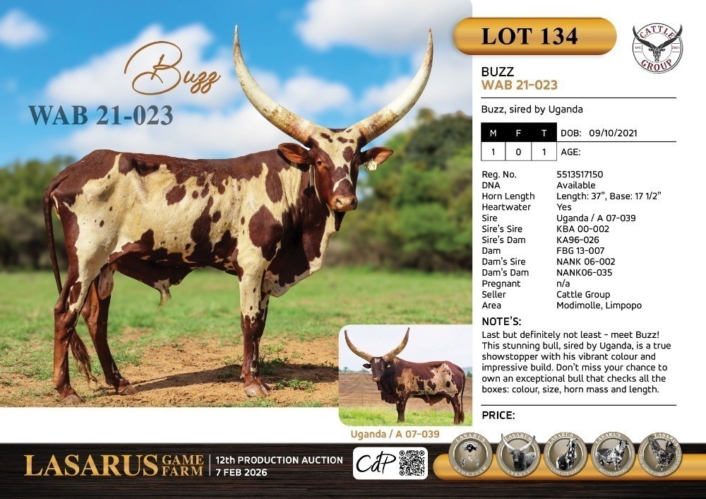 Buzz WAB21-023
