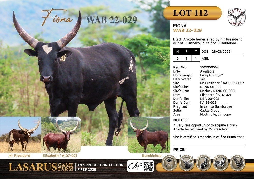 Fiona WAB22-029