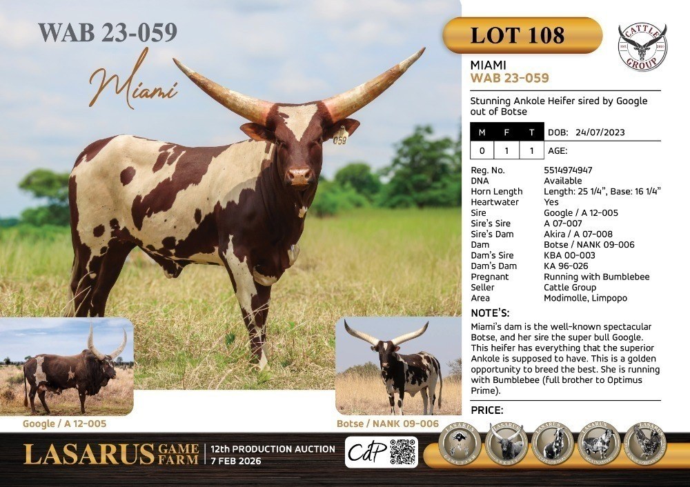 Miami WAB23-059