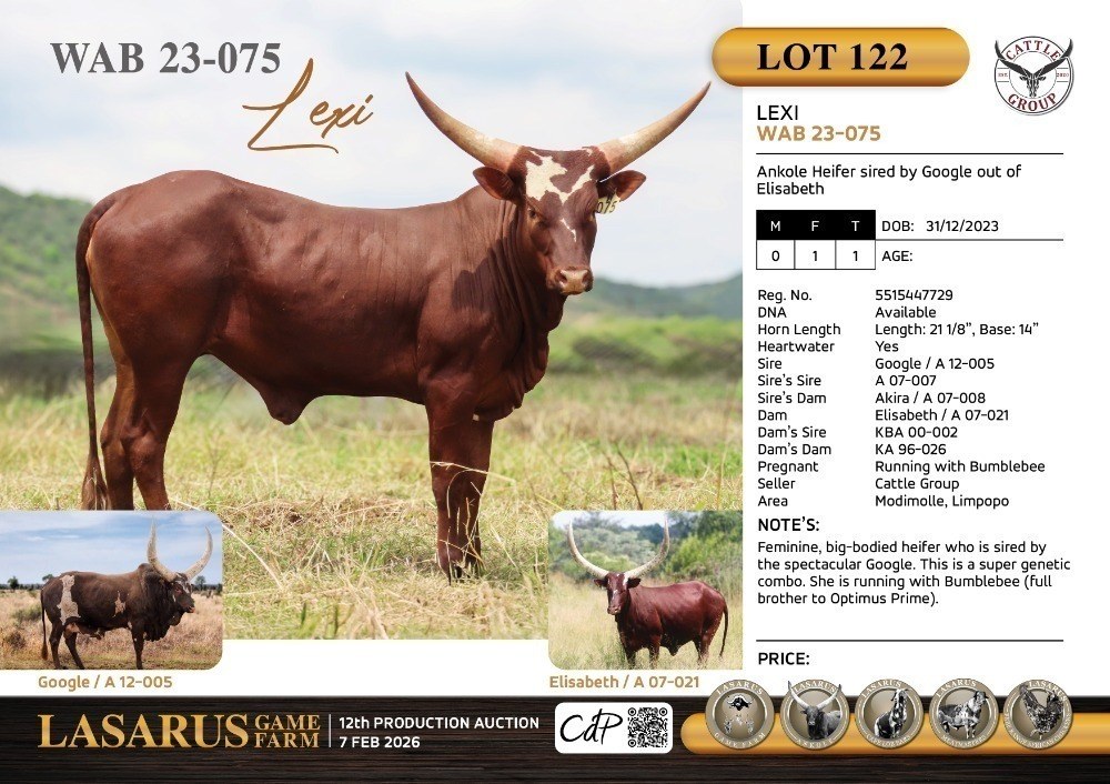 Lexi WAB23-075