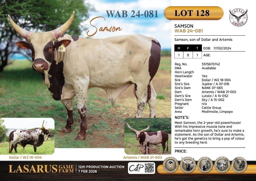 Samson WAB24-081