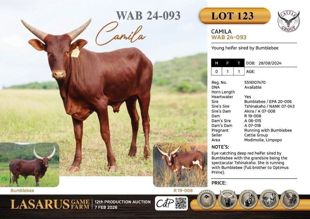 Camila WAB24-093